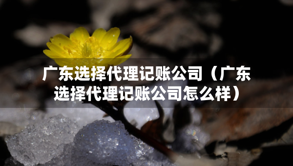廣東選擇代理記賬公司（廣東選擇代理記賬公司怎么樣）