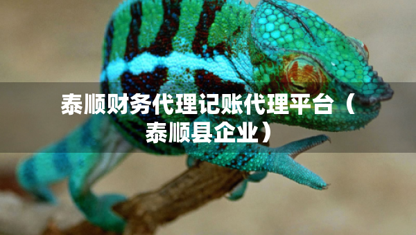 泰順財務(wù)代理記賬代理平臺（泰順縣企業(yè)）