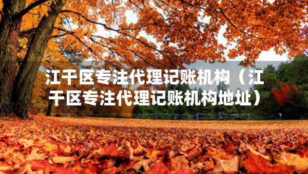 江干區(qū)專注代理記賬機(jī)構(gòu)（江干區(qū)專注代理記賬機(jī)構(gòu)地址）