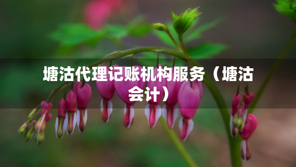 塘沽代理記賬機構服務（塘沽會計）