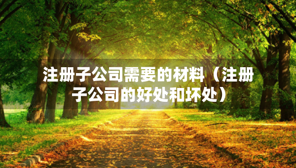 注冊子公司需要的材料（注冊子公司的好處和壞處）