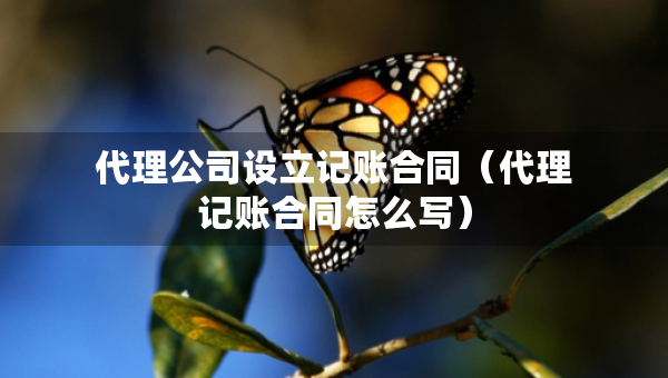 代理公司設(shè)立記賬合同（代理記賬合同怎么寫）