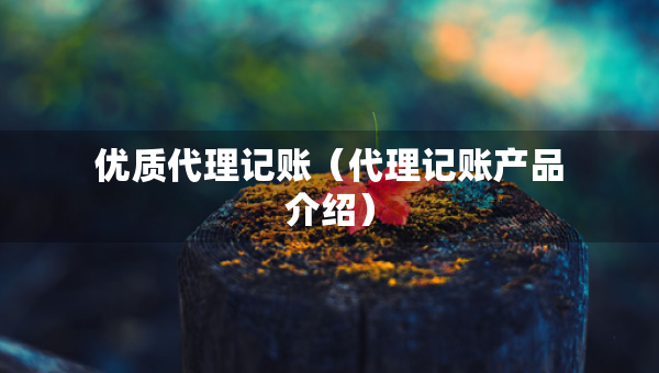 優(yōu)質(zhì)代理記賬（代理記賬產(chǎn)品介紹）