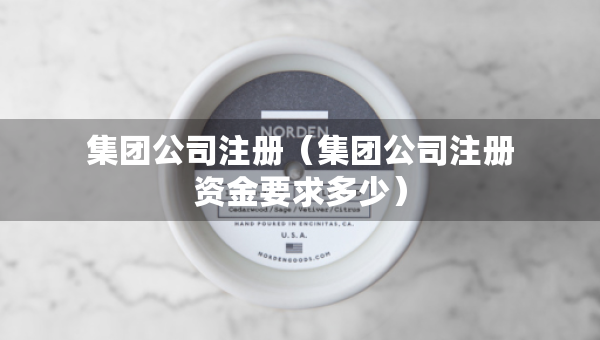 集團公司注冊（集團公司注冊資金要求多少）