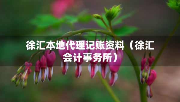 徐匯本地代理記賬資料（徐匯會計事務(wù)所）