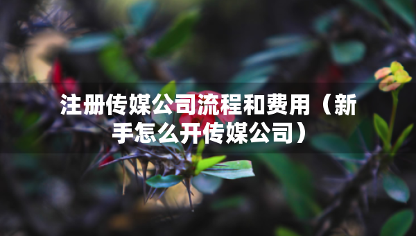 注冊傳媒公司流程和費(fèi)用（新手怎么開傳媒公司）