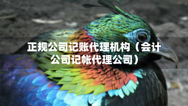 正規(guī)公司記賬代理機(jī)構(gòu)（會(huì)計(jì)公司記帳代理公司）