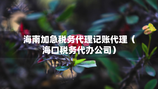 海南加急稅務(wù)代理記賬代理（?？诙悇?wù)代辦公司）