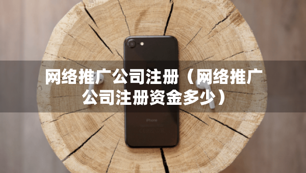 網(wǎng)絡(luò)推廣公司注冊(cè)（網(wǎng)絡(luò)推廣公司注冊(cè)資金多少）