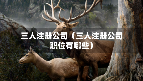 三人注冊公司（三人注冊公司職位有哪些）