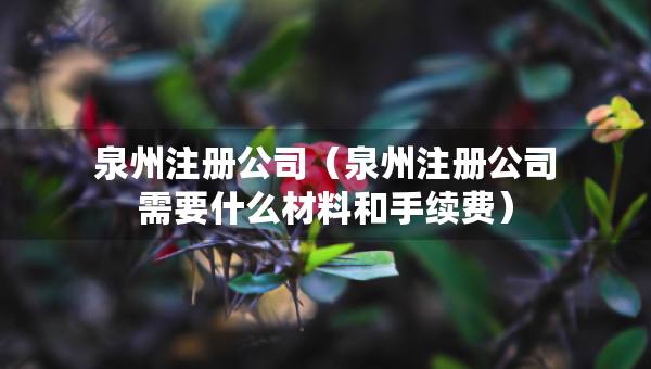 泉州注冊公司（泉州注冊公司需要什么材料和手續(xù)費）