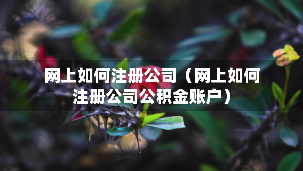 網(wǎng)上如何注冊公司（網(wǎng)上如何注冊公司公積金賬戶）