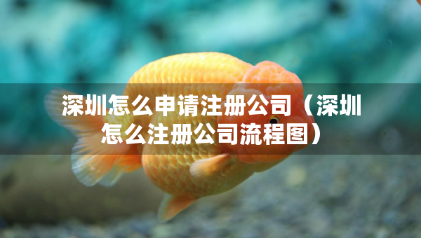 深圳怎么申請(qǐng)注冊(cè)公司（深圳怎么注冊(cè)公司流程圖）