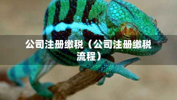 公司注冊繳稅（公司注冊繳稅流程）