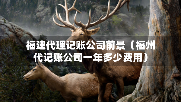 福建代理記賬公司前景（福州代記賬公司一年多少費用）
