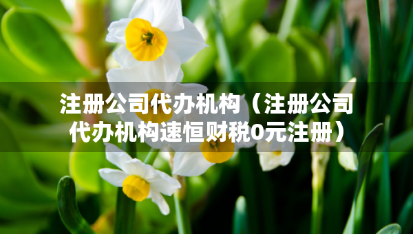 注冊(cè)公司代辦機(jī)構(gòu)（注冊(cè)公司代辦機(jī)構(gòu)速恒財(cái)稅0元注冊(cè)）