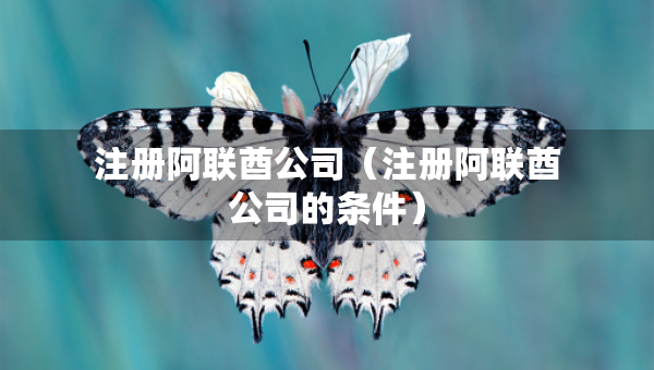 注冊(cè)阿聯(lián)酋公司（注冊(cè)阿聯(lián)酋公司的條件）