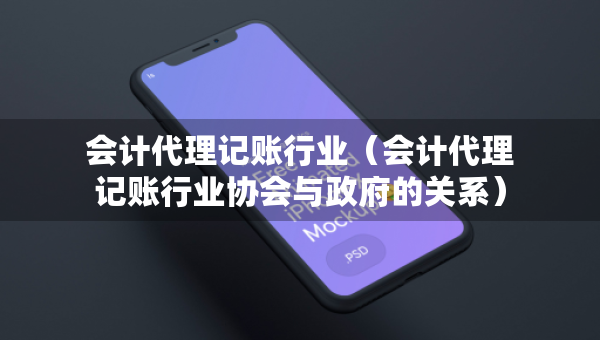 會(huì)計(jì)代理記賬行業(yè)（會(huì)計(jì)代理記賬行業(yè)協(xié)會(huì)與政府的關(guān)系）