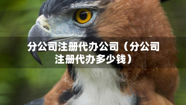分公司注冊代辦公司（分公司注冊代辦多少錢）