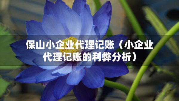保山小企業(yè)代理記賬（小企業(yè)代理記賬的利弊分析）