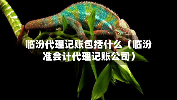 臨汾代理記賬包括什么（臨汾準會計代理記賬公司）