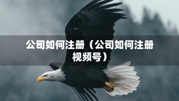 公司如何注冊（公司如何注冊視頻號）