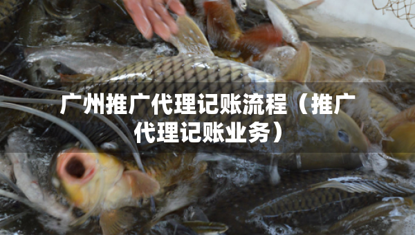 廣州推廣代理記賬流程（推廣代理記賬業(yè)務(wù)）