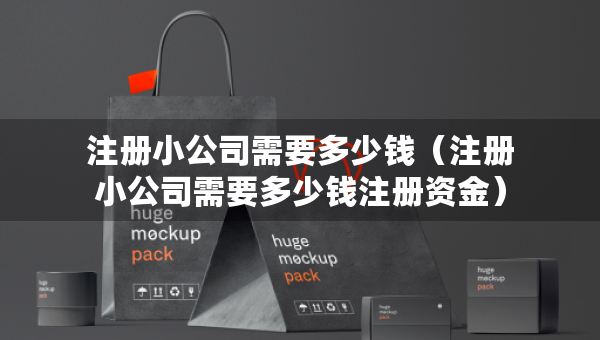 注冊(cè)小公司需要多少錢（注冊(cè)小公司需要多少錢注冊(cè)資金）