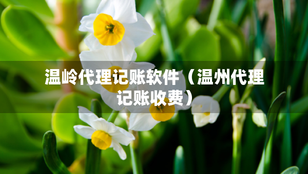 溫嶺代理記賬軟件（溫州代理記賬收費(fèi)）