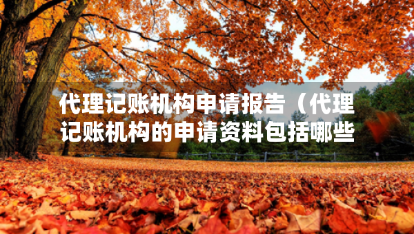 代理記賬機構(gòu)申請報告（代理記賬機構(gòu)的申請資料包括哪些）
