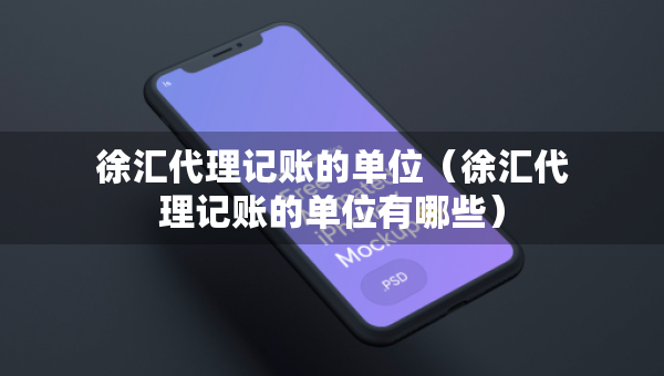 徐匯代理記賬的單位（徐匯代理記賬的單位有哪些）