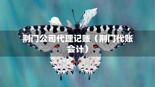荊門公司代理記賬（荊門代賬會計）