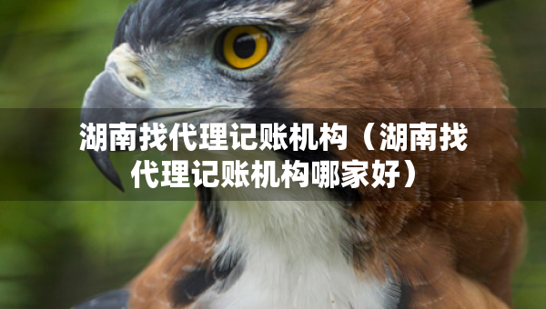 湖南找代理記賬機(jī)構(gòu)（湖南找代理記賬機(jī)構(gòu)哪家好）