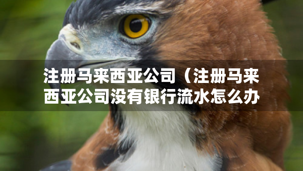 注冊(cè)馬來(lái)西亞公司（注冊(cè)馬來(lái)西亞公司沒(méi)有銀行流水怎么辦）