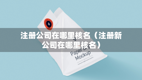 注冊公司在哪里核名（注冊新公司在哪里核名）