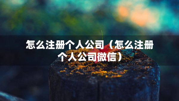怎么注冊個人公司（怎么注冊個人公司微信）