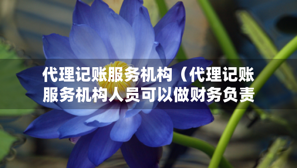 代理記賬服務(wù)機(jī)構(gòu)（代理記賬服務(wù)機(jī)構(gòu)人員可以做財(cái)務(wù)負(fù)責(zé)人嗎）