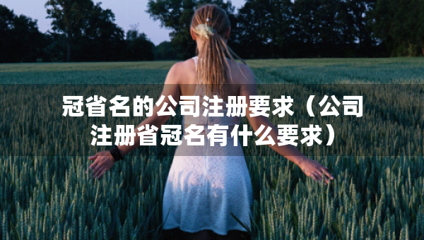 冠省名的公司注冊(cè)要求（公司注冊(cè)省冠名有什么要求）