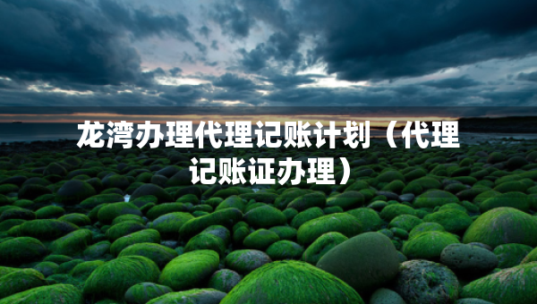 龍灣辦理代理記賬計(jì)劃（代理記賬證辦理）