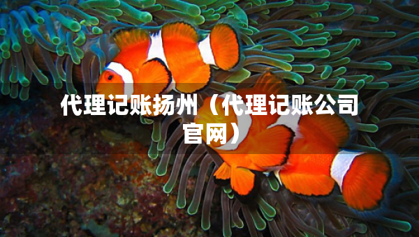代理記賬揚(yáng)州（代理記賬公司官網(wǎng)）