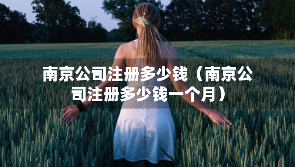 南京公司注冊(cè)多少錢（南京公司注冊(cè)多少錢一個(gè)月）