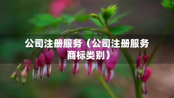 公司注冊(cè)服務(wù)（公司注冊(cè)服務(wù) 商標(biāo)類(lèi)別）