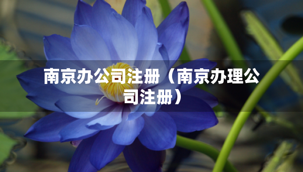 南京辦公司注冊（南京辦理公司注冊）