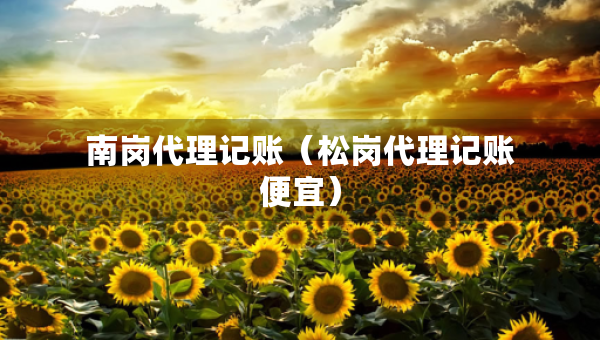 南崗代理記賬（松崗代理記賬便宜）