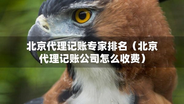 北京代理記賬專家排名（北京代理記賬公司怎么收費）