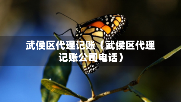 武侯區(qū)代理記賬（武侯區(qū)代理記賬公司電話）