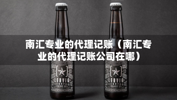 南匯專業(yè)的代理記賬（南匯專業(yè)的代理記賬公司在哪）