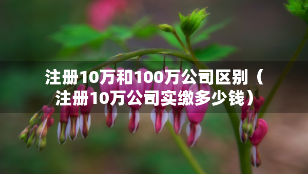 注冊10萬和100萬公司區(qū)別（注冊10萬公司實繳多少錢）