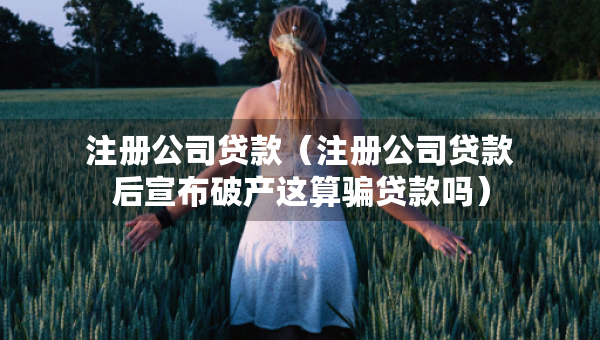 注冊公司貸款（注冊公司貸款后宣布破產(chǎn)這算騙貸款嗎）