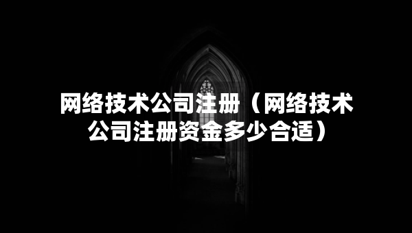 網絡技術公司注冊（網絡技術公司注冊資金多少合適）